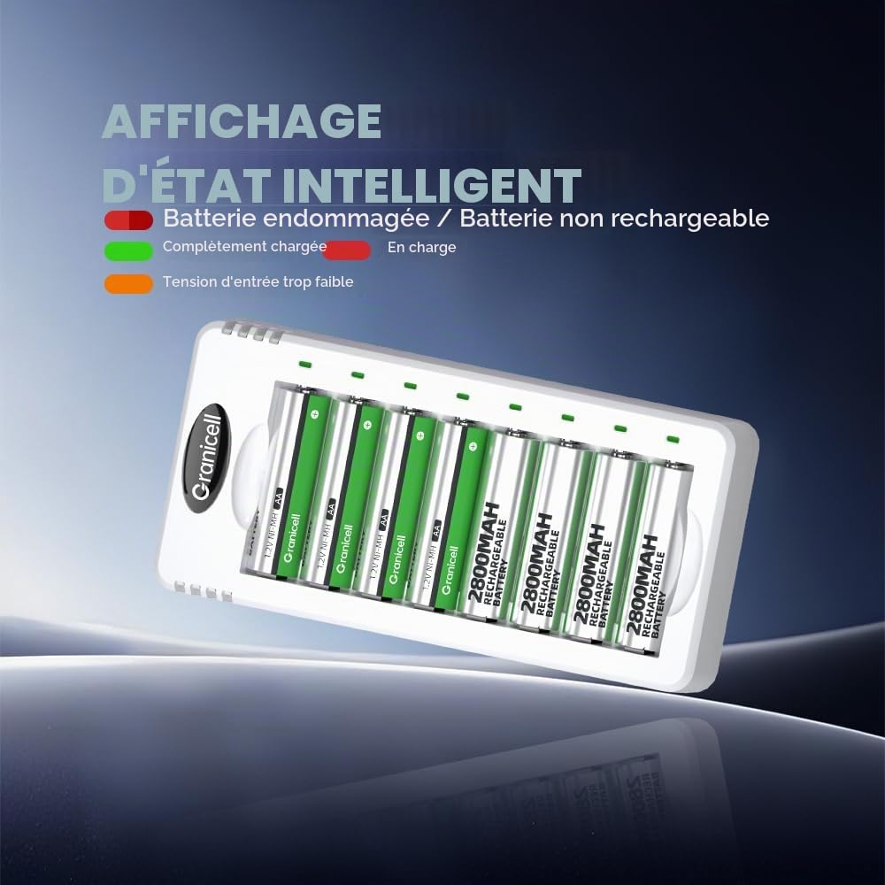 Granicell Kit de Chargeur avec 8 Piles AA et 8 Piles AAA Rechargeables NiMH - Charge Rapide