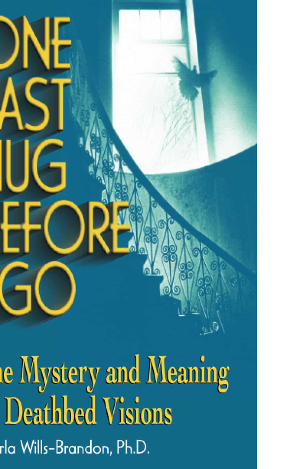 One Last Hug Before I Go The Mystery And Meaning Of Deathbed Visions Wills Brandon Carla Amazon In Books