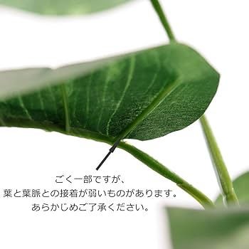 Amazon｜フェイクグリーン 光触媒 造花 人工 観葉植物 造花