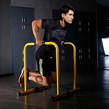 懸垂マシン プラップバー　チンニングスタンド ディップススタンド プルアップ 楽天市場】懸垂マシン 多機能ハンドル 耐荷重450kg 懸垂