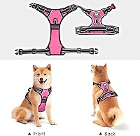 Vista 5 de PoyPet - Arnés para perro para pasearlo sin jalones, sin estrangulamiento, arnés reflectivo para perro con correa delantera, chaleco ajustable