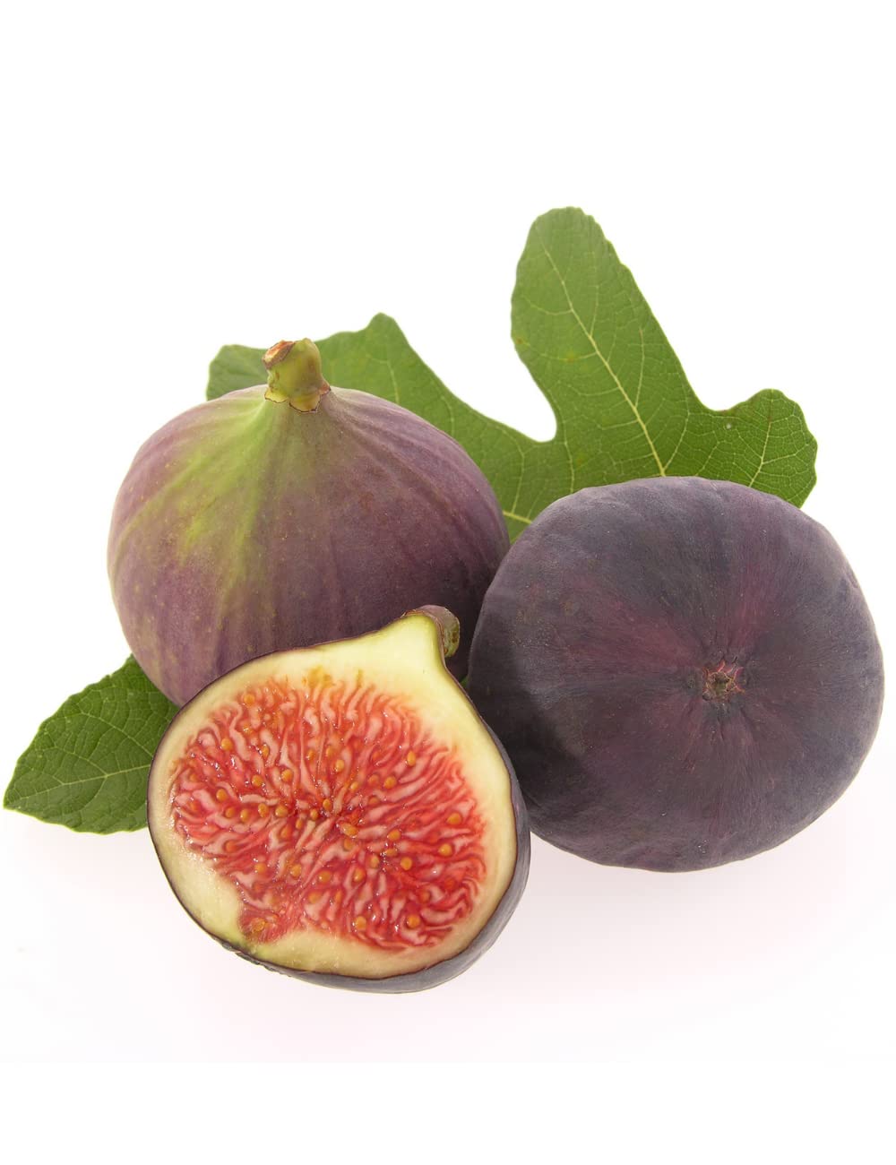 Fig Plant Anjeer Fruit Plant (Healthy Live Plant -Grafted) (B0B2W5744R) Amazon Price History, Amazon Price Tracker