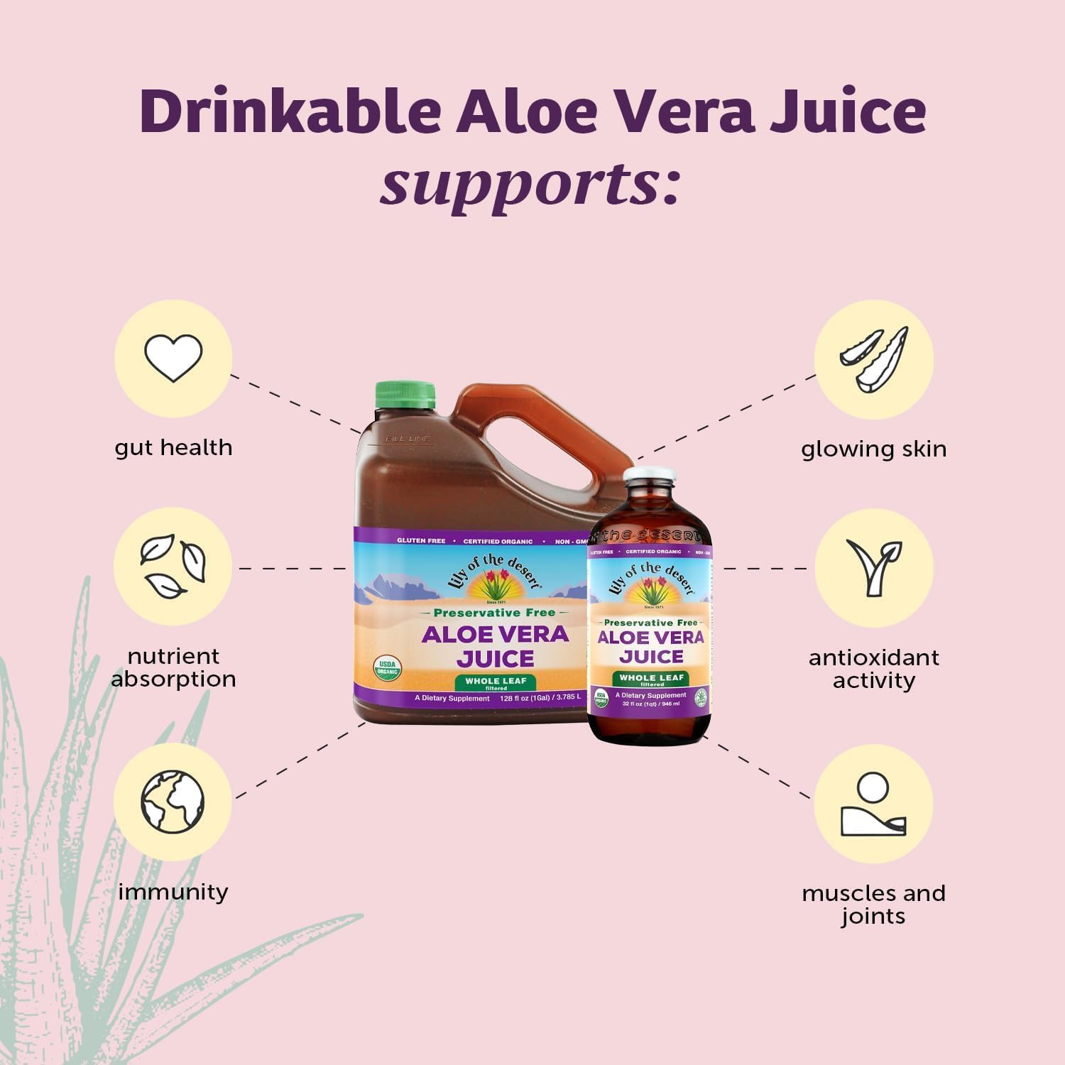 Lily Of The Desert Aloe Vera Juice, Whole Leaf Filtered, Thicker Consistency, 2-Pack – Natural Vitamins, Digestive Enzymes for Gut Health, Glowing Skin & Wellness, 32 Fl Oz Ea