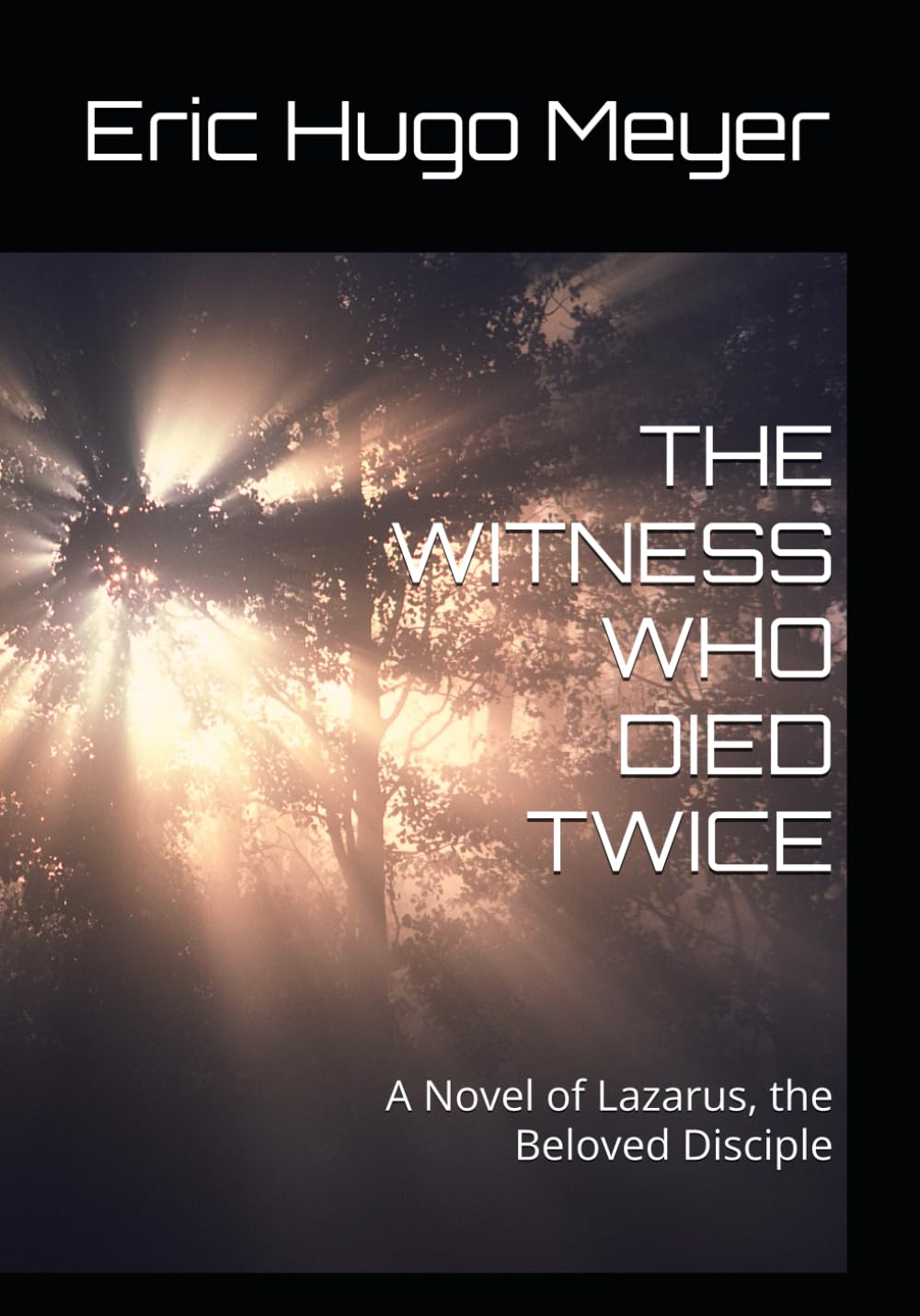 THE WITNESS WHO DIED TWICE: A Novel of Lazarus, the Beloved Disciple: 2 (The Wait is Broken)