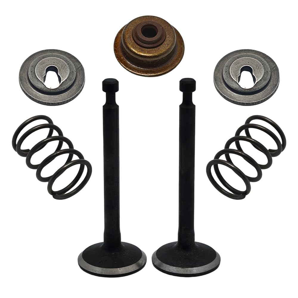 Per la molla di aspirazione del fermo dello stelo Set guarnizioni per Honda GX25 HHT25S GX 25 Trimmer Decespugliatore Motore