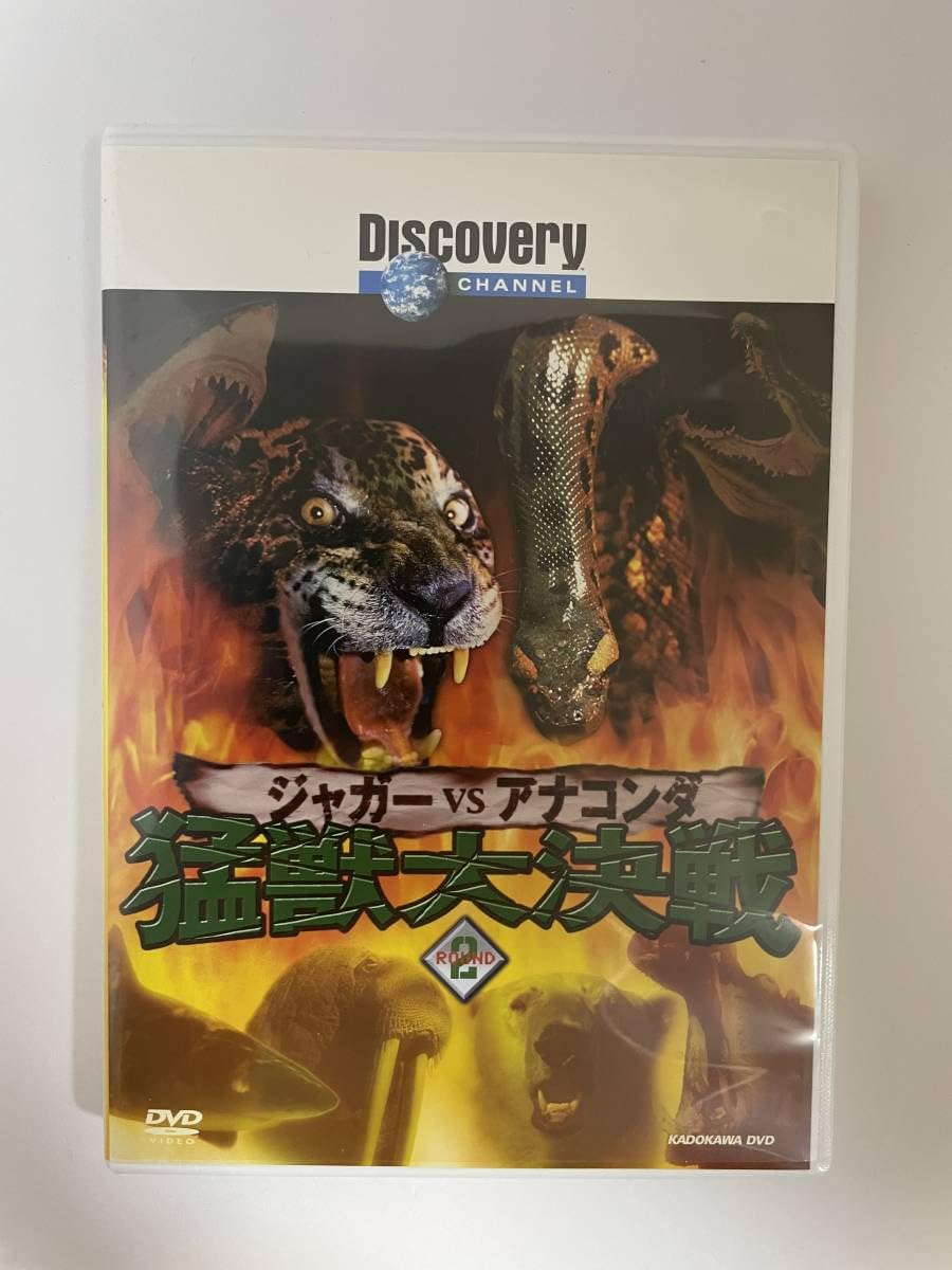 Amazon.co.jp: 1 22 猛獣大戦 Round2 ジャガー vs アナコンダ