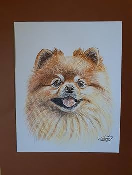 ◇コリスページ◇ワイヤーアート　ポメラニアン ◇コリス様専用ページ◇ワイヤーアート ポメラニアン