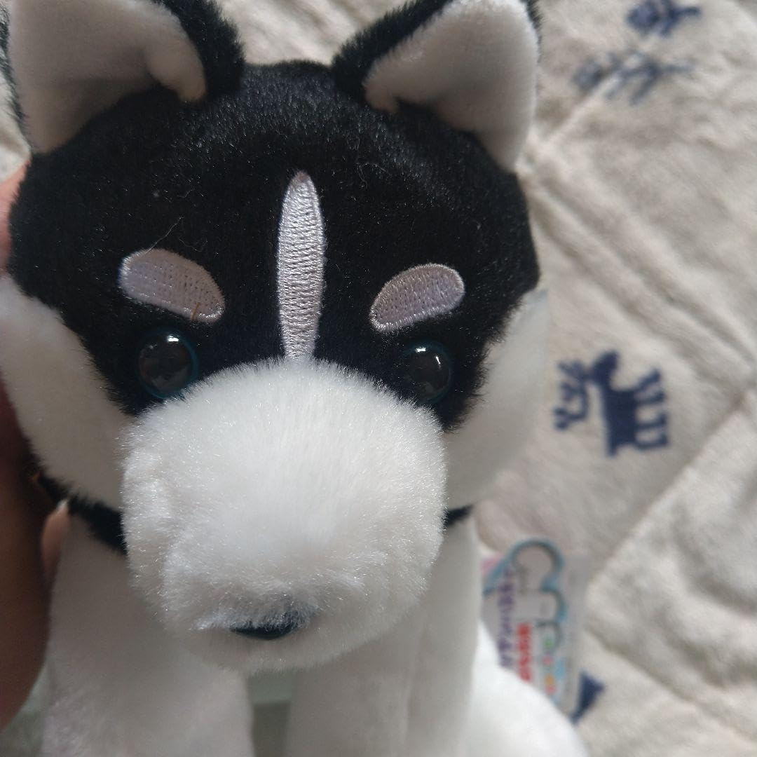 Amazon.co.jp: くったりシベリアンハスキー 犬 ぬいぐるみ 二匹セット