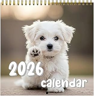 Funny Dog 2026 壁掛けカレンダー | 子犬ウォールカレンダー - 家庭 職場 教室用 大マス プランナー フィットネス 目標管理 家族スケジュール帳