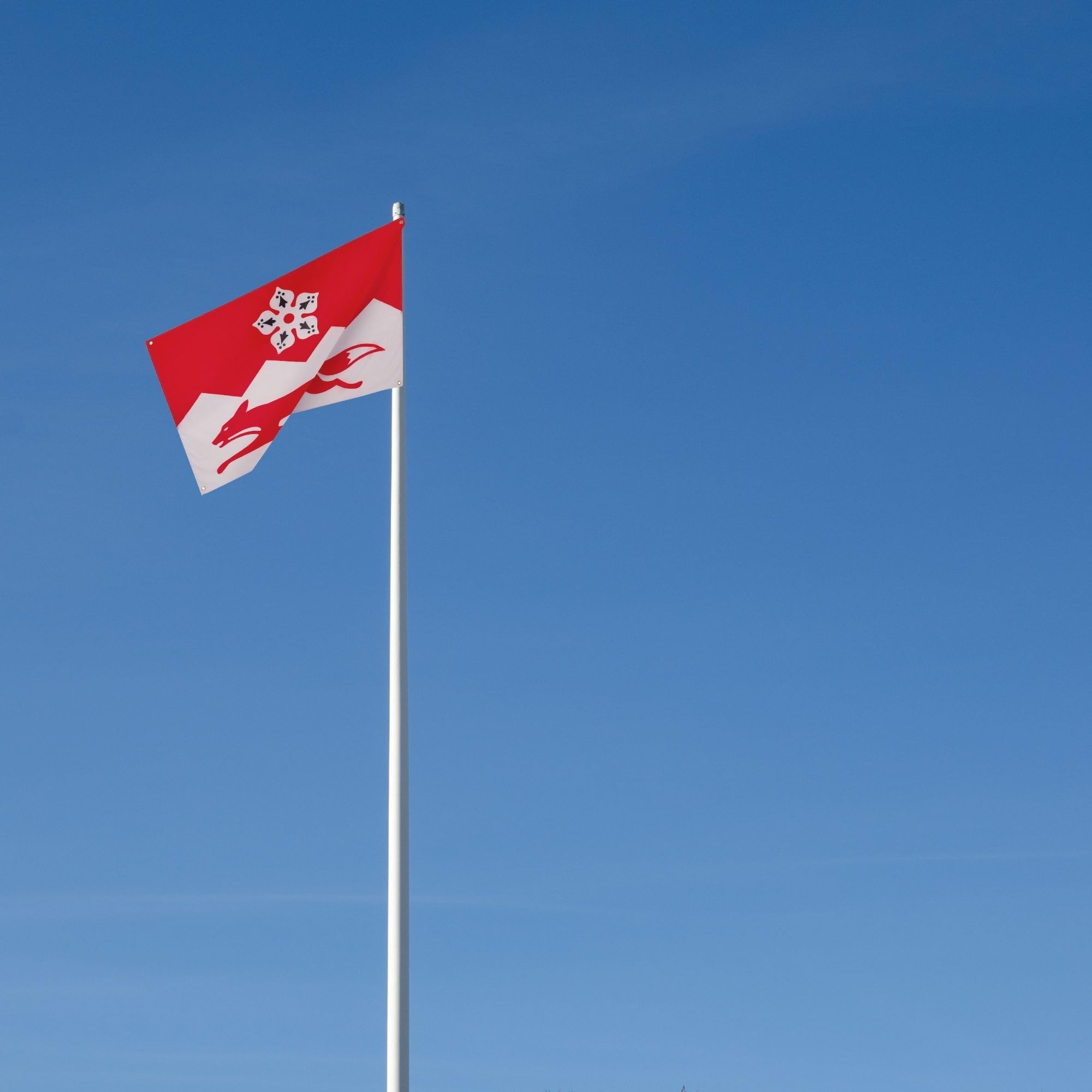 FlagSuperstore Flagge Leicestershire – 152x91 Cm, Polyester, Mit Ösen
