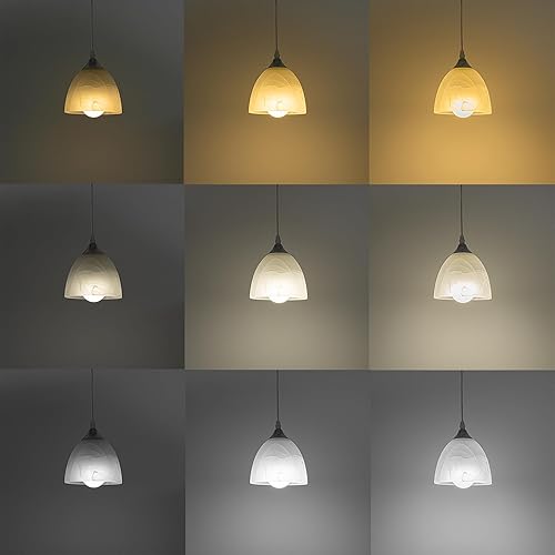 Miniatura 24 de Kiven Accesorio de iluminación de riel tipo H, luz colgante de pista de halo de vidrio regulable con control remoto, longitud ajustable con 3 modos