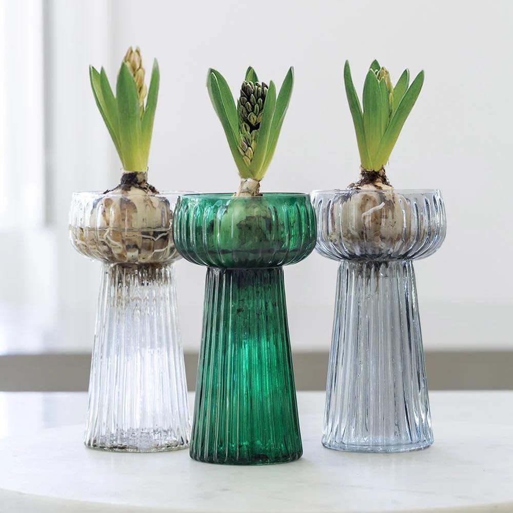 Glasseam Small Glass Vases For Flowers