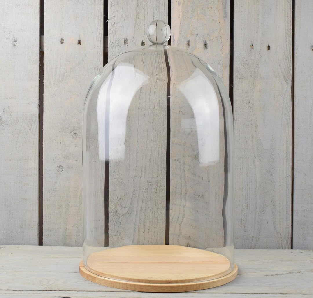 EMH Handmade Clear Circular Large Glass Display Cloche Dome Bell With Knob and Natural Wooden Base 40 x 25 cm