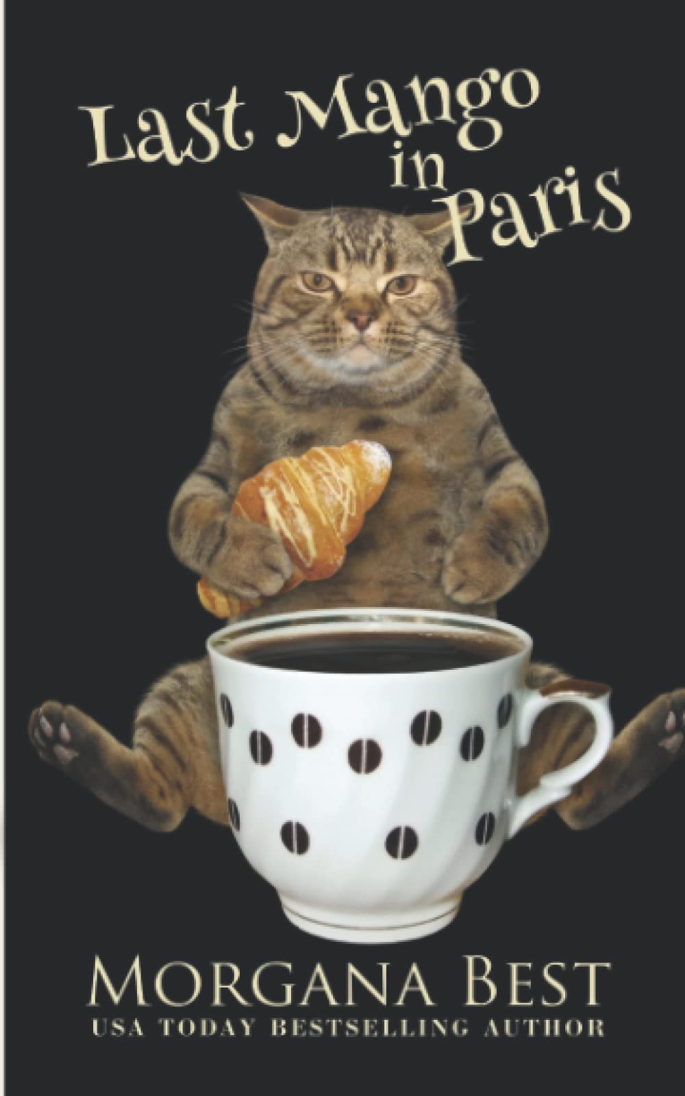 Last Mango in Paris: Volume 6 (Australian Amateur Sleuth)