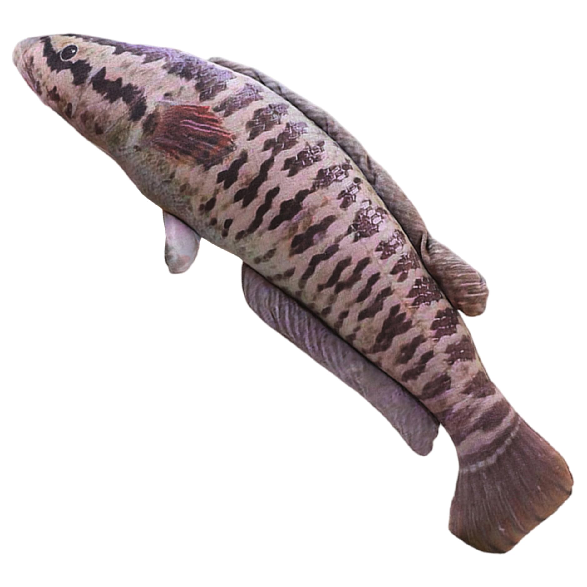 Poisson en peluche de 80 cm coussin en peluche géant réaliste décoration maison