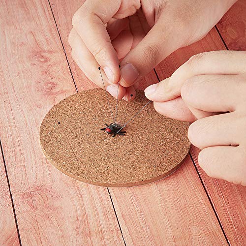 Image of WILLBOND 300 Pieces Stainless Steel Insect Pins Kit Specimen,3 Sizes | Entomology Pins for Butterfly Collections Insect Display Variety Pack for School Specimen Preparation Pin Collector