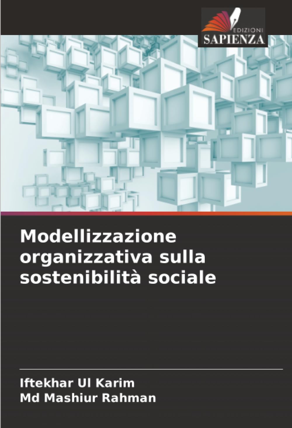 Modellizzazione organizzativa sulla sostenibilità sociale