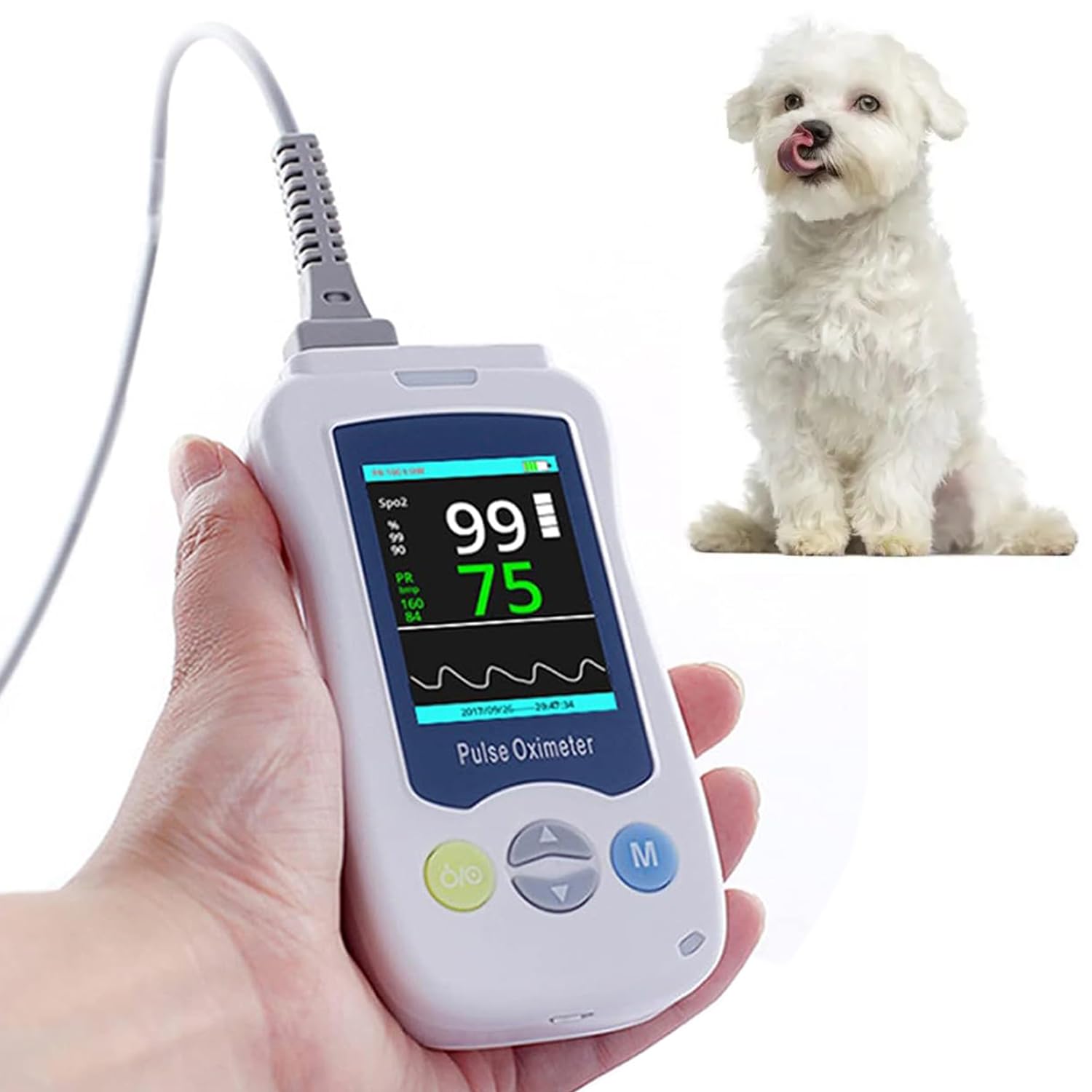 Veterinär-Pulsoximeter, Tragbares Tierarzt-Oximeter Mit Ohr-/Zungensensor, Optionaler Temperaturfühler, SpO2- Und Pulsfrequenzüberwachung, 2,4-Zoll-Display, Für Katzen, Hunde, Kleintiere