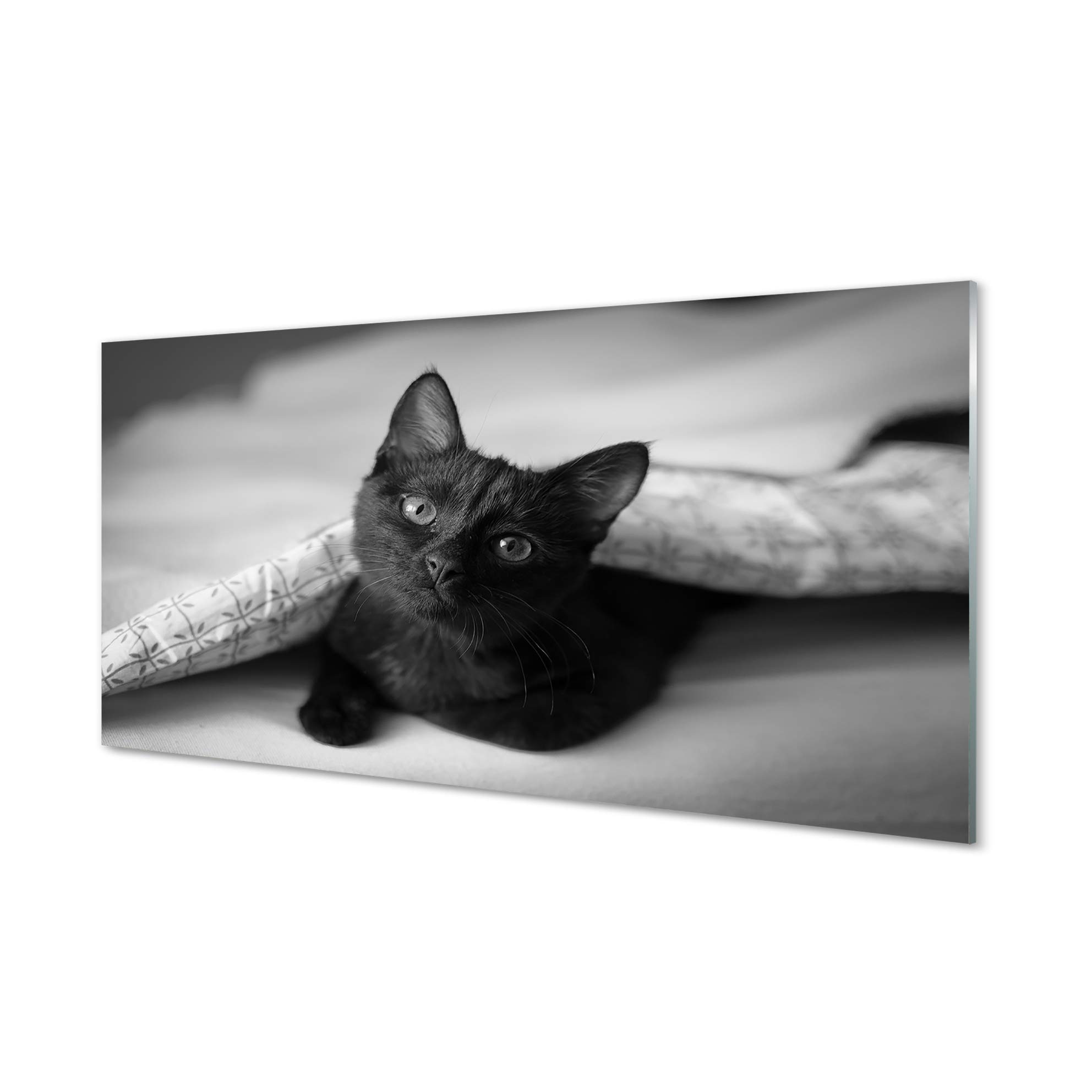 Impression sur verre 120x60cm chat sous la couverture pour masquer et decorer un mur de cuisine