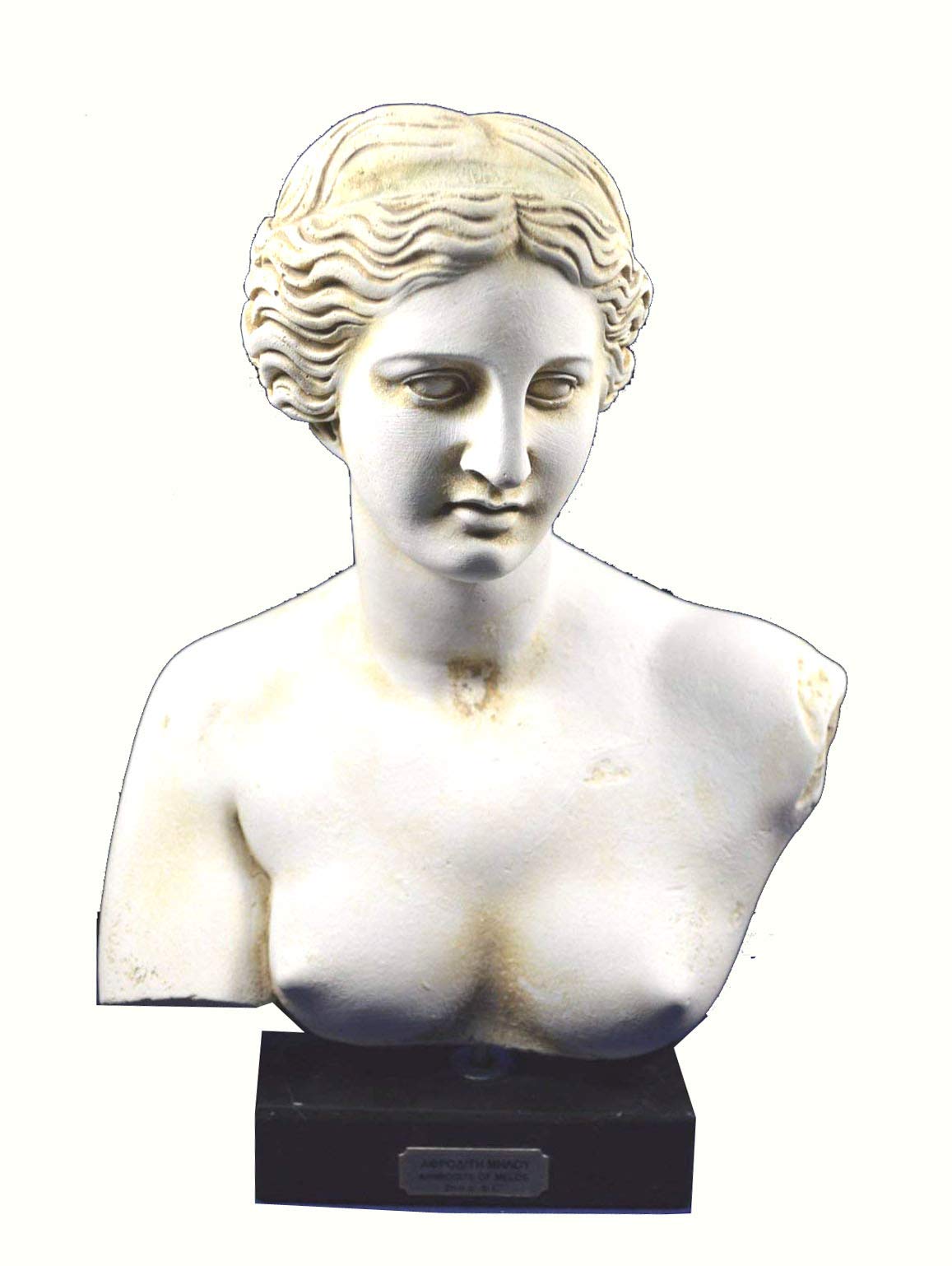 Amazon.co.jp: Aphrodite Sculpture Bust Venus Goddess of Love Great