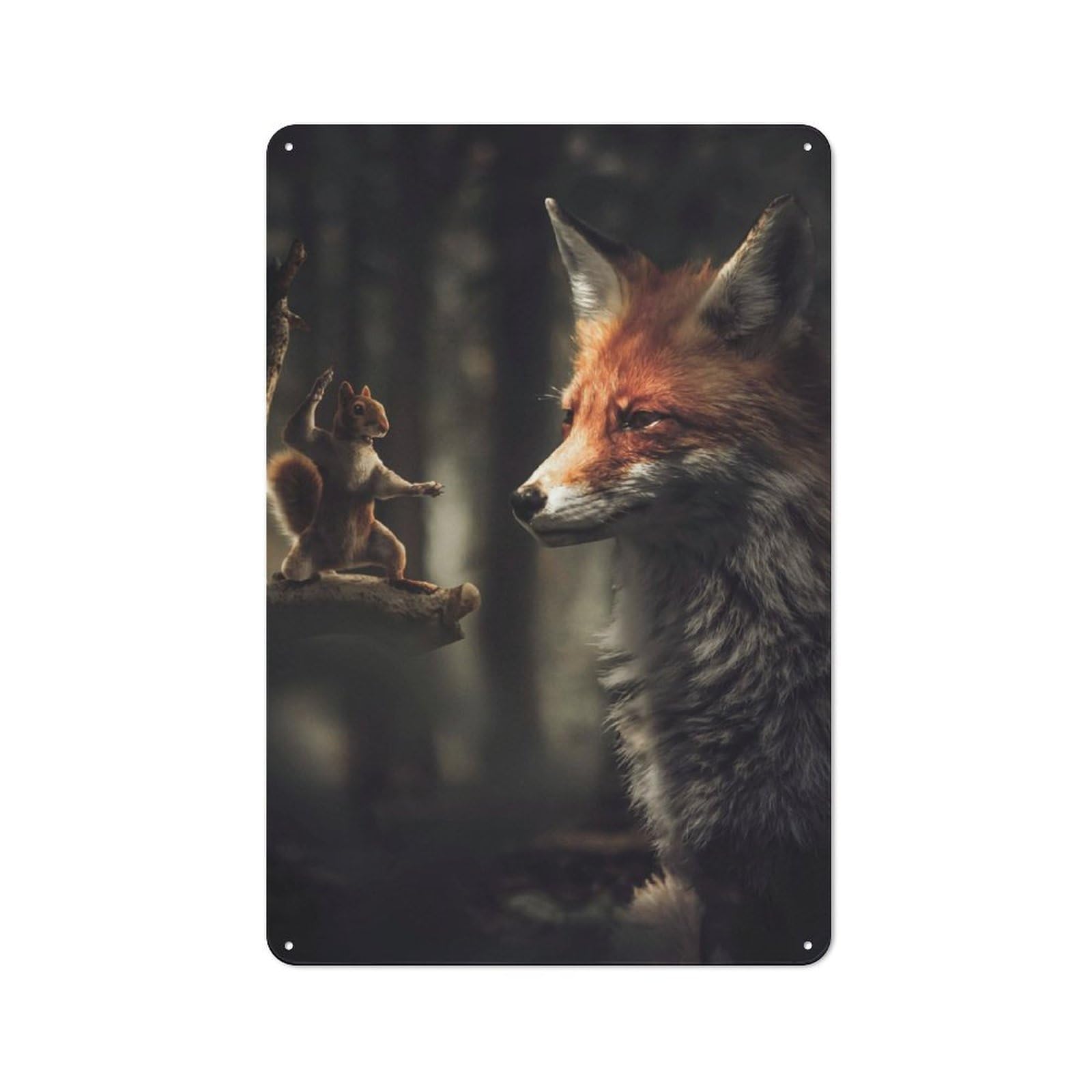 Junmoney Kung Fu Squirrel Vintage Tin Sign 30X20cm With For Studio Or Craft Room, For Garage, Workshop And Man Cave Decoration