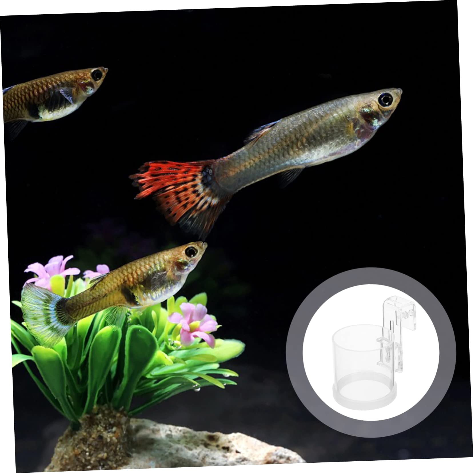DOITOOL 4piezas Anillo Alimentación para Peces De Acuario Accesorio Ligero De Acrílico Diseño para Comida Flotante para Peces Tropicales y Camarones Compatible Agua Dulce y Salada
