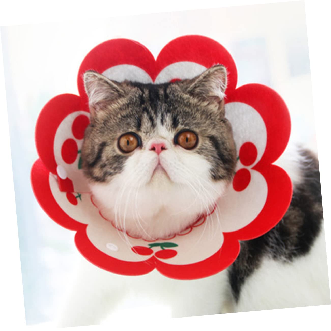BESPORTBLE 5pezzi Collare Elisabettiano Decorativo Per Gatti Morbido e Traspirante Collare Per Post-operazione Protezione Ferite Misura Media Accessorio Per Animali Domestici Feltro