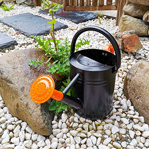 image for Cesun Metal Watering Can Galvanized Steel Watering Pot with Removable 