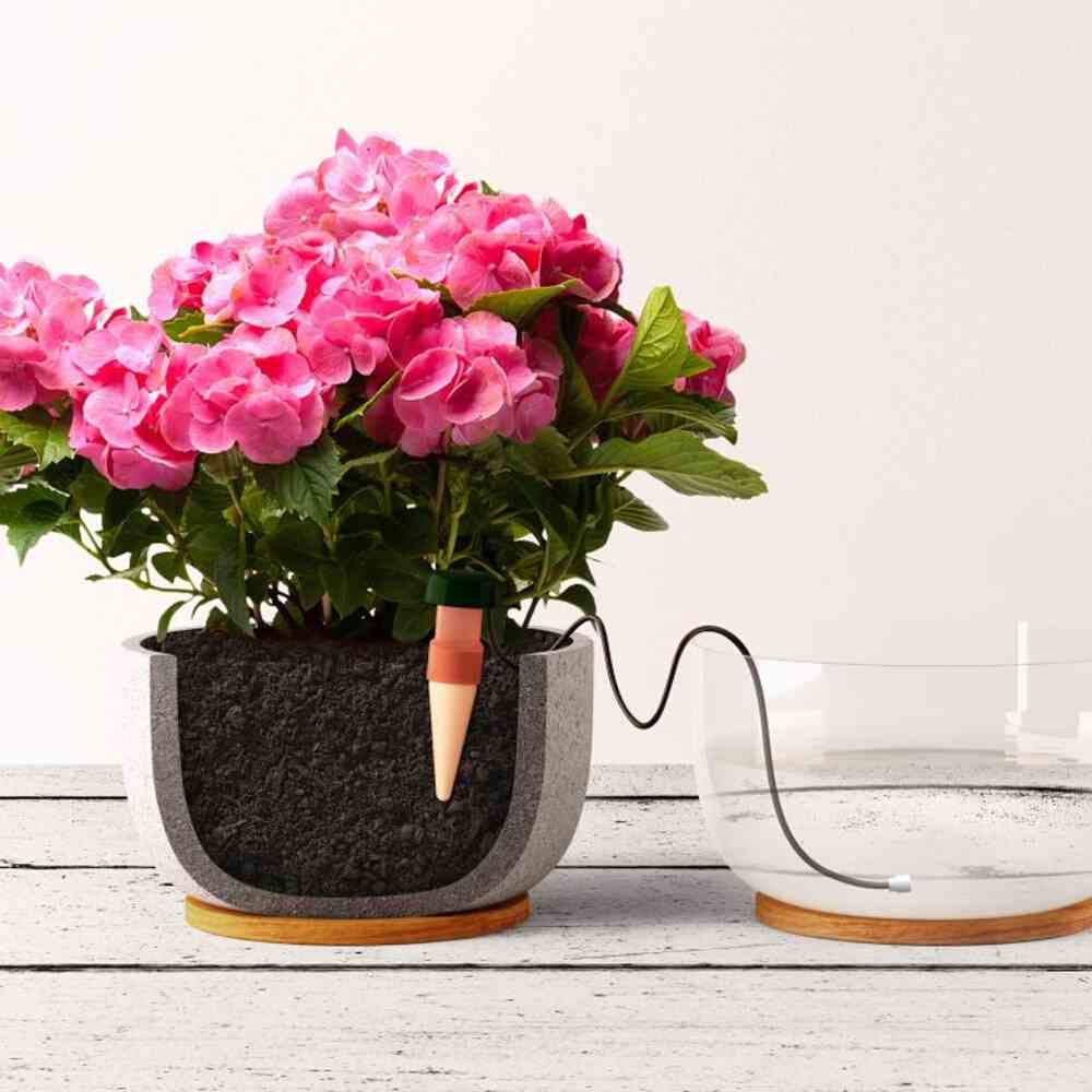 Blumat Wasserspender fr Zimmerpflanzen, 6 Stck im Beutel : Amazon.de:  Garten