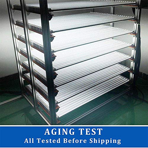 T8 T10 T12 LED Light Tube 4FT, 22W (40W-50W Equiv.), Dual-End Powered, Ballast Bypass, F48T8 Fluorescent Replacement, 2400Lumens, 6000K, Frosted Cover, Garage, Warehouse, Shop Light - 25 Pack - Thumbnail 6