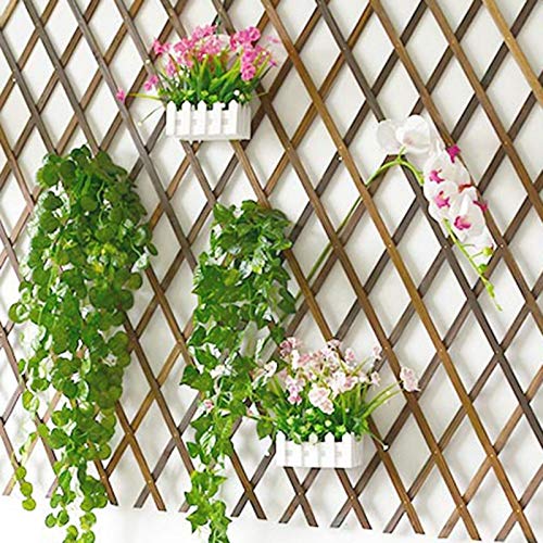 Versenkbarer KNstlicher Garten Zaun Erweiterbarer KNstlicher Efeu Schutz  Zaun Reben Kletter GerSt Garten : Amazon.de: Garten