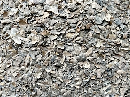 MIGHTY109 Natural Crushed Oyster Shell for Bocce Ball Court Base Layer