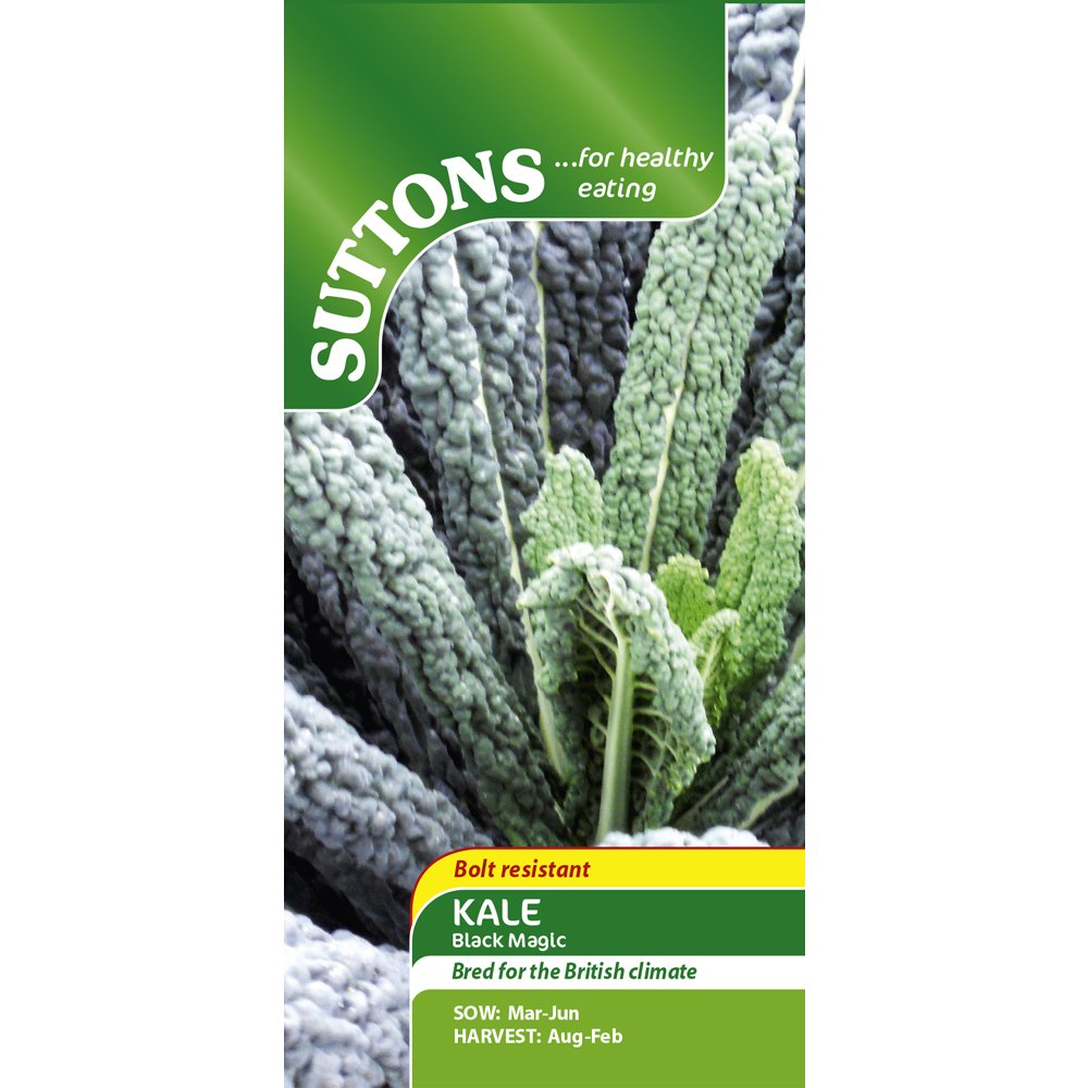 Kale Seeds - Black Magic