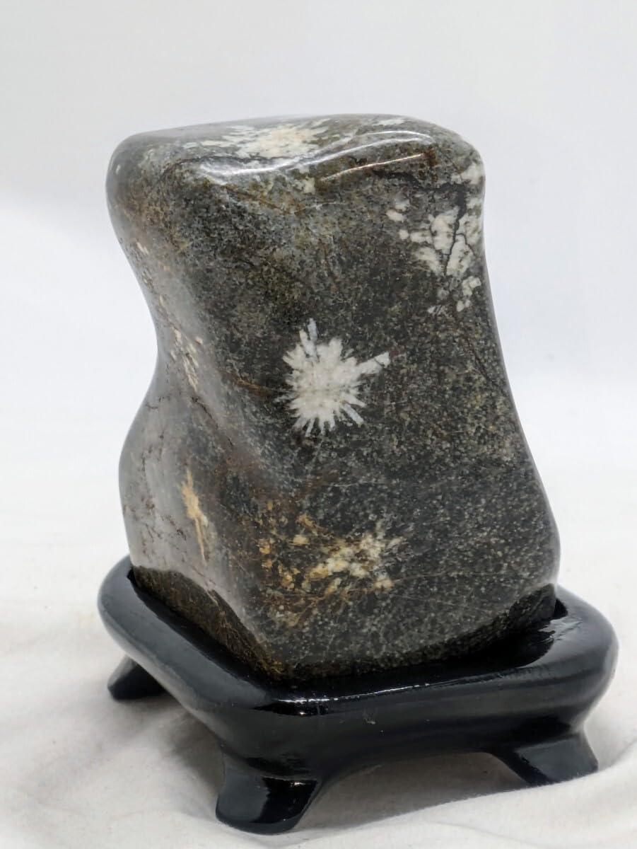 津軽 錦石 台座付き 盆石 水石 鑑賞石 台座付き 鑑賞石 青森県津軽