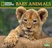 National Geographic Baby Animals 2017 Wall Calendar