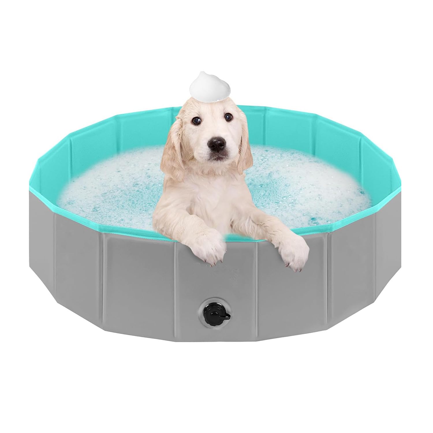pataugeoire pliable chien 80x20cm