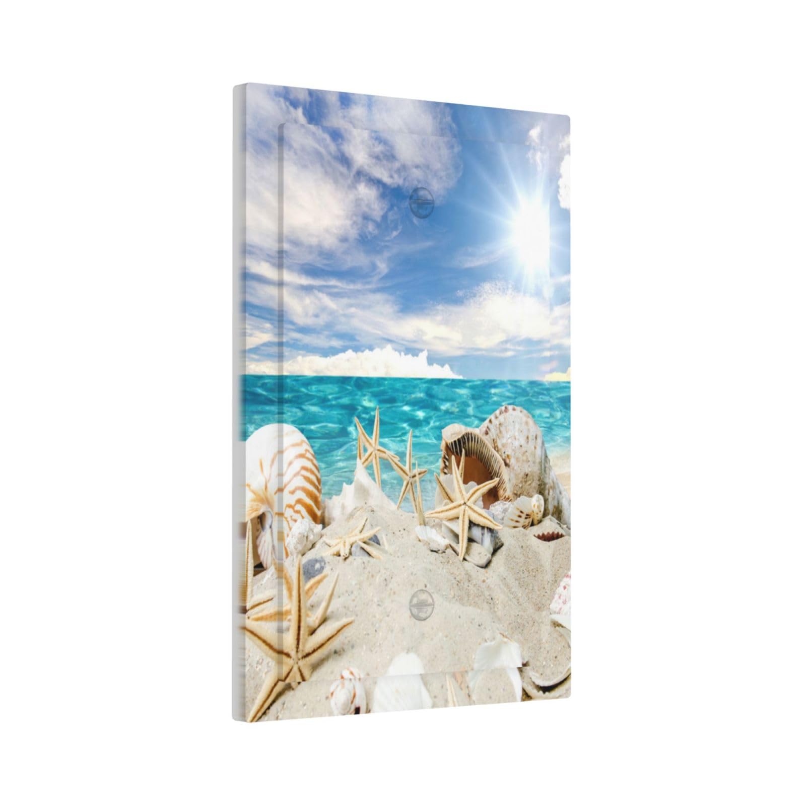 Beach Seashells Starfish Hawaii Ocean 1 Gang Light Switch Covers No Device Wall Plate Decorative Blank Switchplate Electrical Faceplate for Country Bathroom Bedroom Home Decor