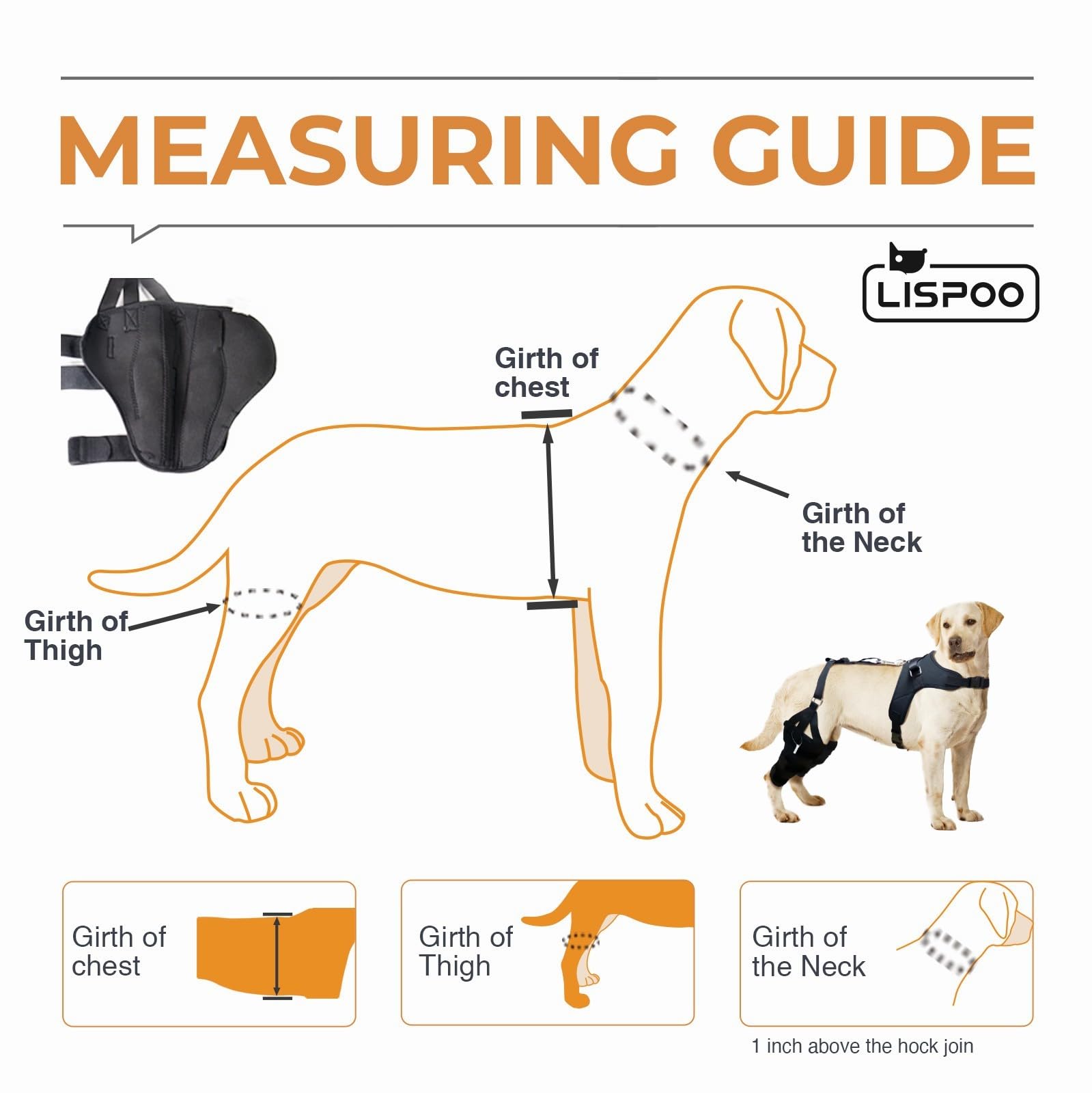 Tutore per ginocchio per cani Labrador per gamba lacerata, rotula lussante, tutore per ginocchio con stecca in metallo incernierato, supporto per ginocchio per CCL, migliore recupero con tutore