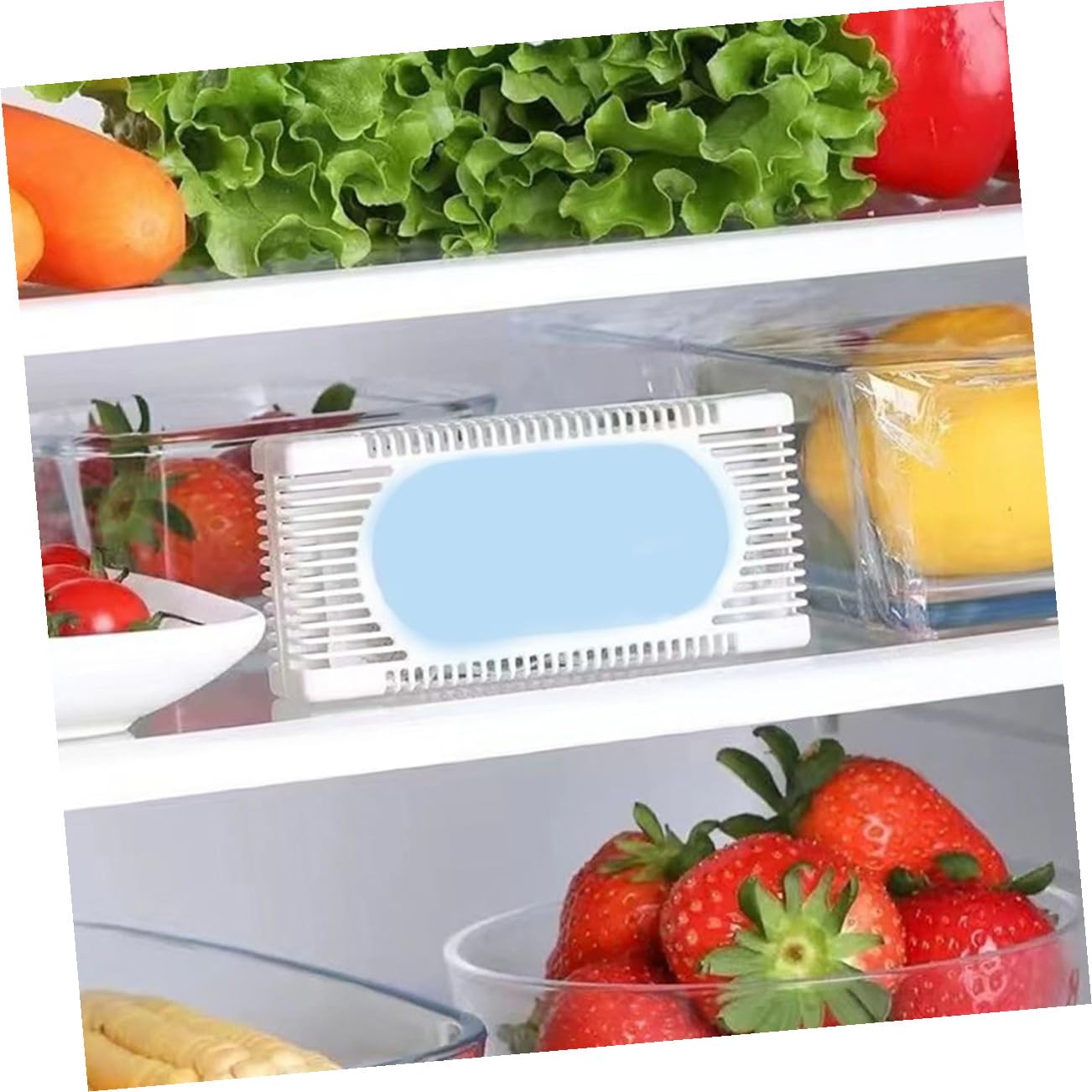 Ipetboom 12pezzi Assorbitore Per Frigorifero e Congelatore e Auto Rimuove e Attività Carbonio