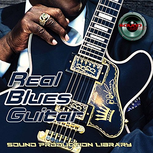Blues Guitar Real - ��^ ���j�[�N WAVe �T���v��/���[�v/�O���[�u �X�^�W�I���C�u����