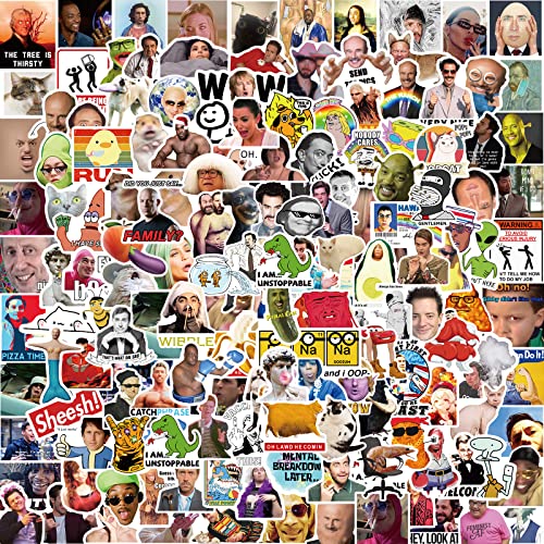 Meme Stickers [ 150PCS ] Funny Stickers for Teens Adults, Vinyl Waterproof Motivational Sticker, Fashion Emoji Stickers, Cool Decals Packs for Laptop, Bumper, Skateboard, Water Bottles, Phone(Meme)