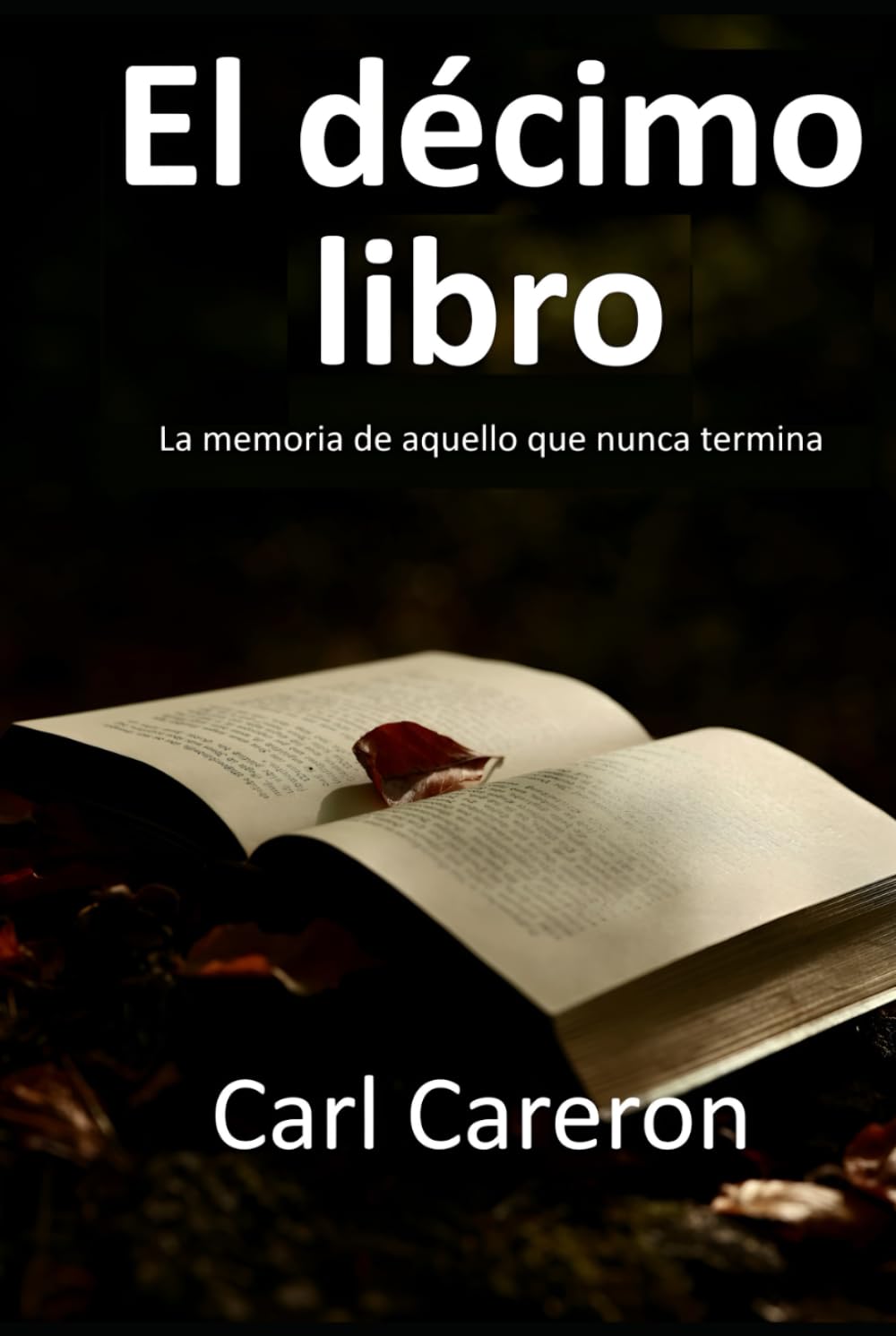 EL DÉCIMO LIBRO: La memoria de aquello que nunca termina (Cuando la vida se rompe)