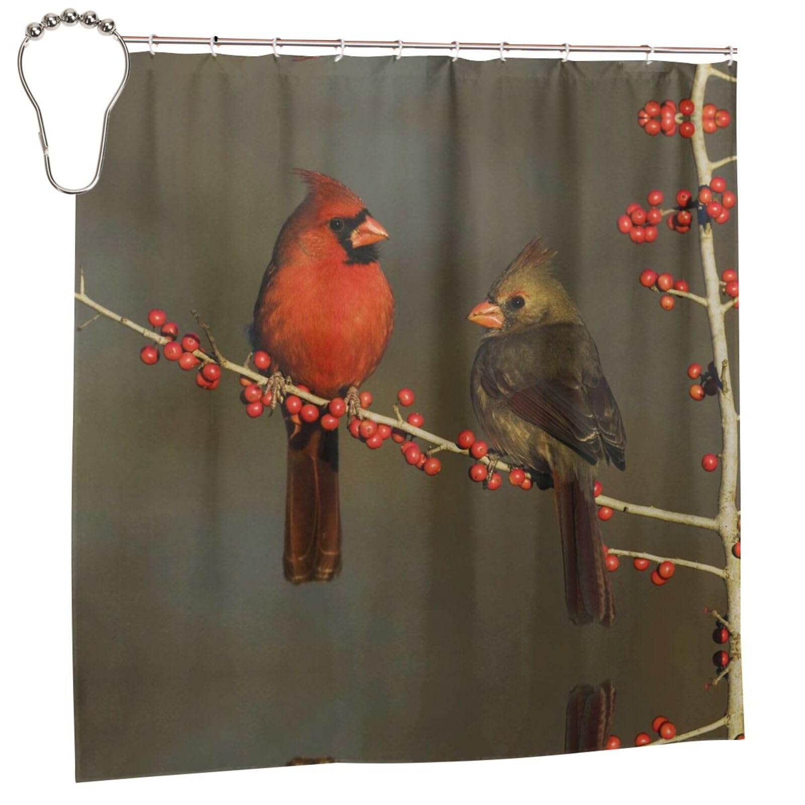 Rideau de douche imperméable oiseaux rouges pour une décoration de maison style nature