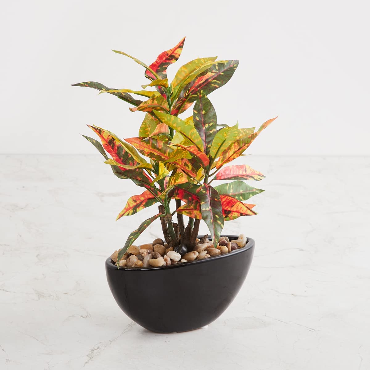 Buy Fourwalls Artificial Croton Bonsai Plant in A Ceramic Pot for Home  Office Dcor (29 cm Tall, Multicolour) Online at Low Prices in India -  Amazon.in