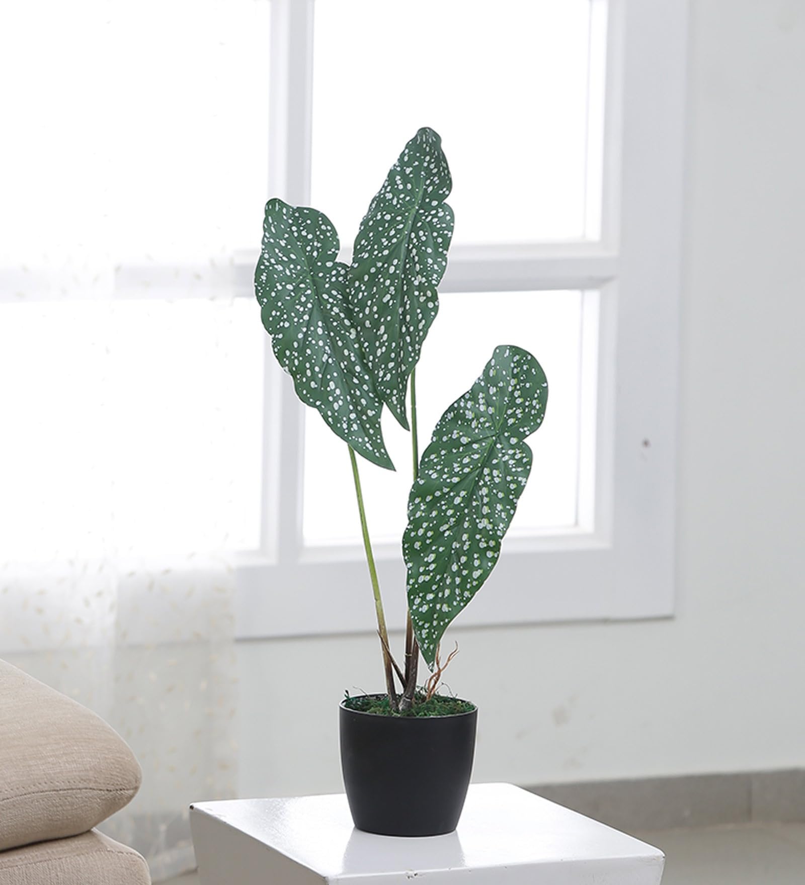 ARICK Decor Artificial Caladium Plant | with Basic Black Pot | 3 Leaves | Dark/Green Veined | Ornamental Plant for Interior Decor/Home Decor/Office Decor | Durable