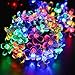 LOENDE Battery Operated String Lights, Waterproof Dimmable Multi-Color Flower String Lights for Valentine's, Thanksgiving, Party, Outdoor, Indoor, Holiday, Christmas, Wedding Decorations