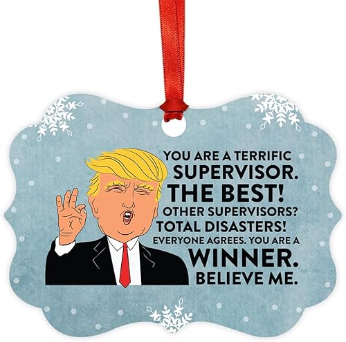 Miniatura 28 de Andaz Press Presidente Donald Trump Fancy Frame Recuerdo Adorno de Navidad, Regalo de broma de Técnico de Farmacia, 1 paquete, divertidas ideas
