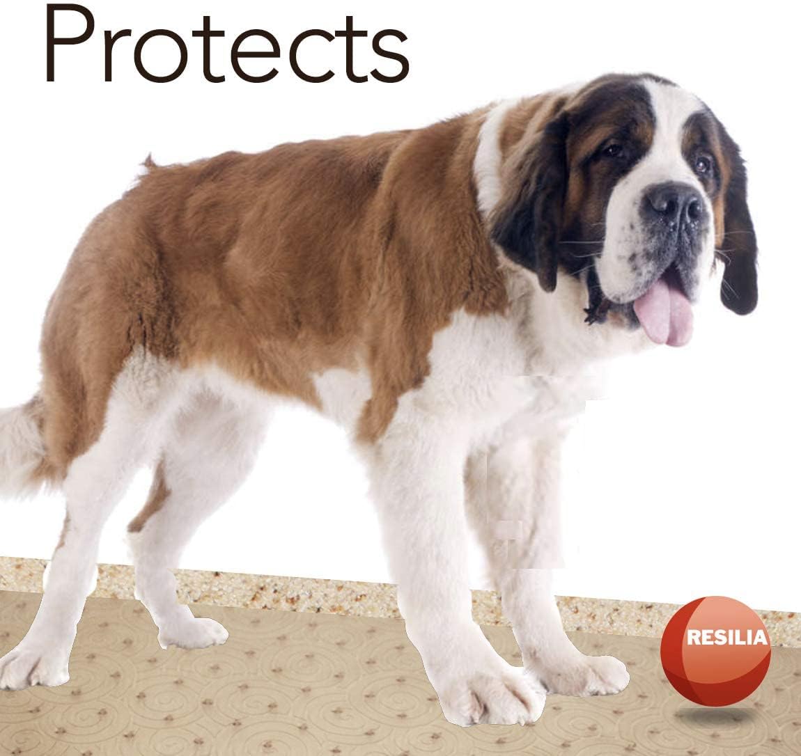 RESILIA Deluxe Clear Vinyl, Plastic Floor Runner/Protector for Deep Pile Carpet Skid-Resistant, Swirl Spiral Pattern, (36 Inches Wide x 12 Feet Long), Made in The USA