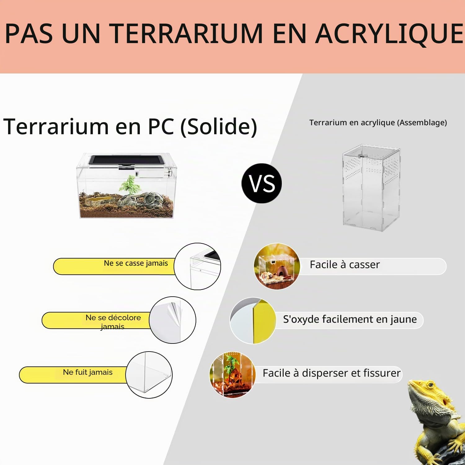 Reptile Growth PC Trousse de Terrarium Reptile, 12" x 7"x 6" PC terrariums avec Vue complète visuellement Attrayante, Vivarium pour Léopard Gecko Barbu Dragon Lézard Escargot Tarentule Serpent Tortue