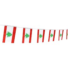 Lebanon Lebanese String Banner Flag,5.5 x 8.2 Inch String Banner,Indoor and Outdoor Party Decorations,16 ft 20 Mini Flags.